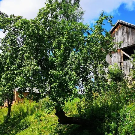 Wies Odnowa Labowa Exterior photo