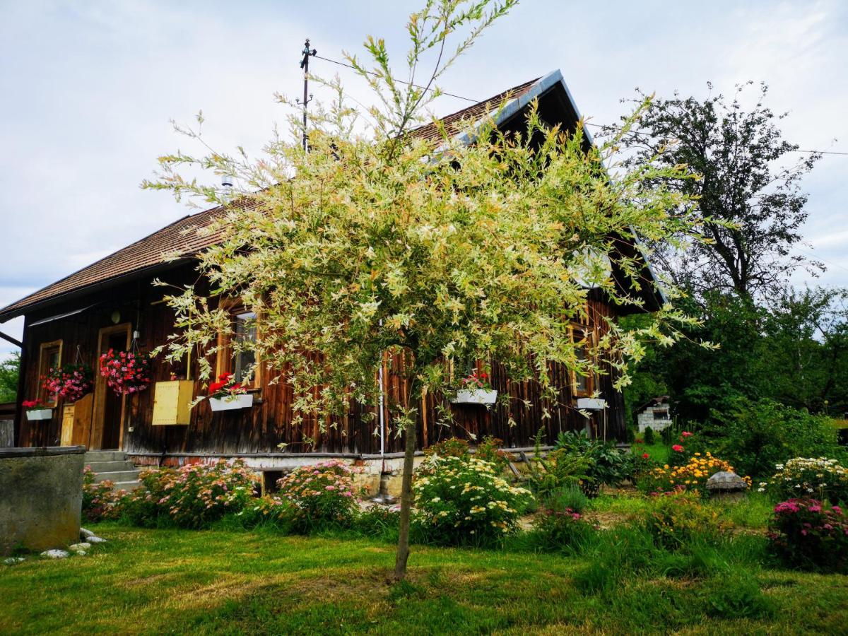 Holiday home Wies Odnowa Labowa