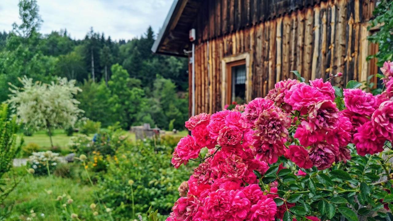 Wies Odnowa Holiday home Labowa
