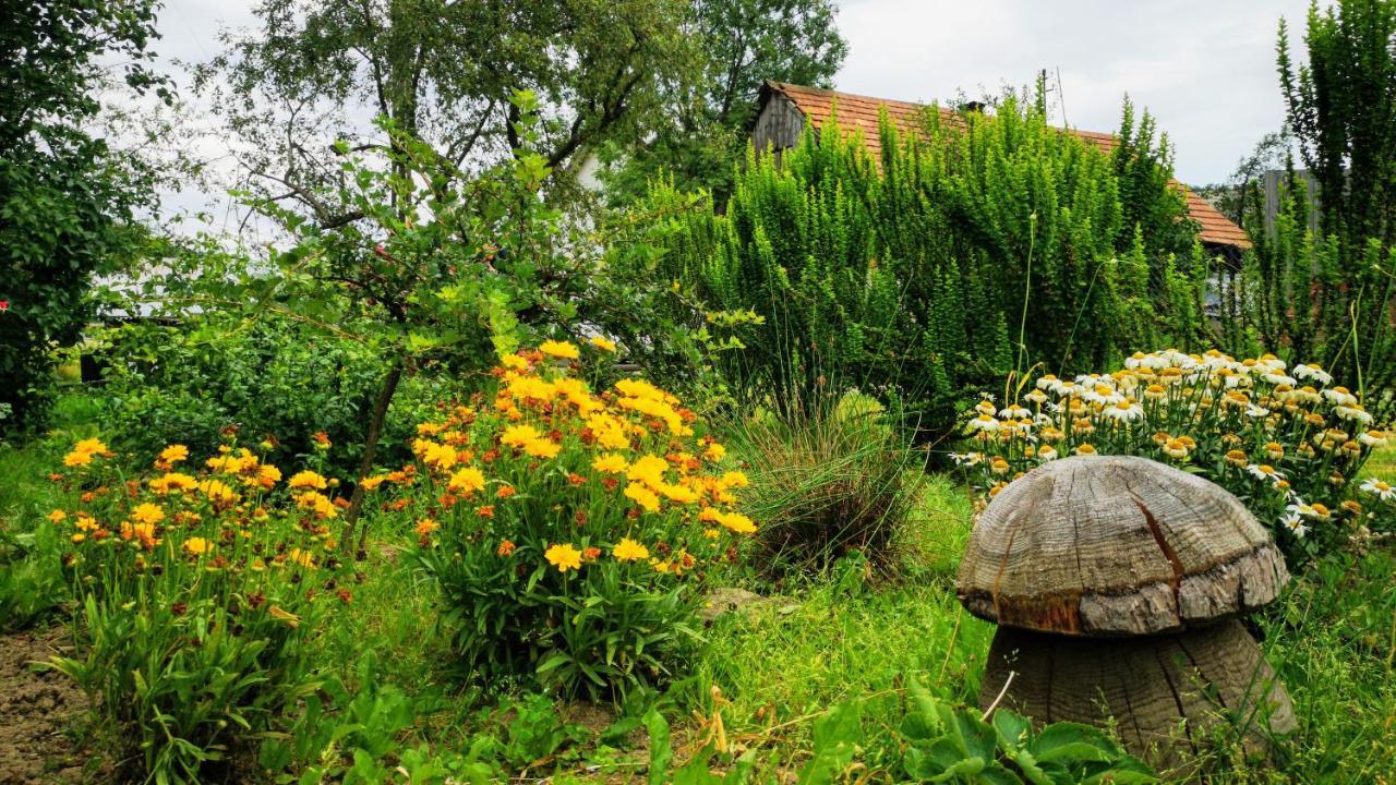 Wies Odnowa Holiday home Labowa