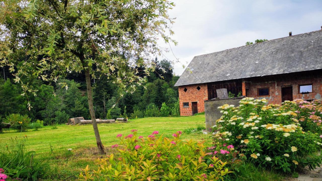 Holiday home Wies Odnowa
