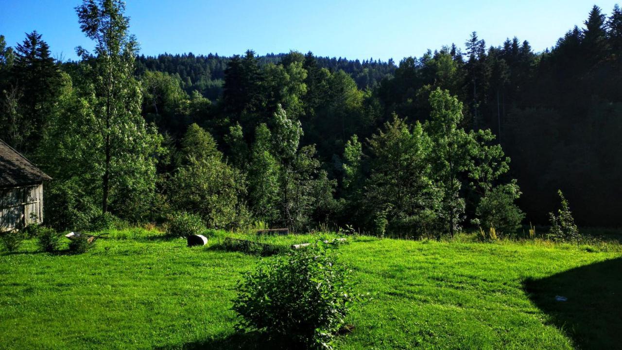 Holiday home Wies Odnowa