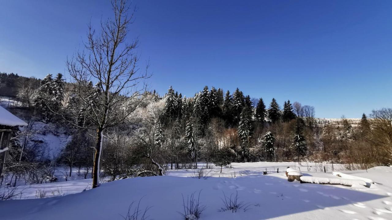 Wies Odnowa *