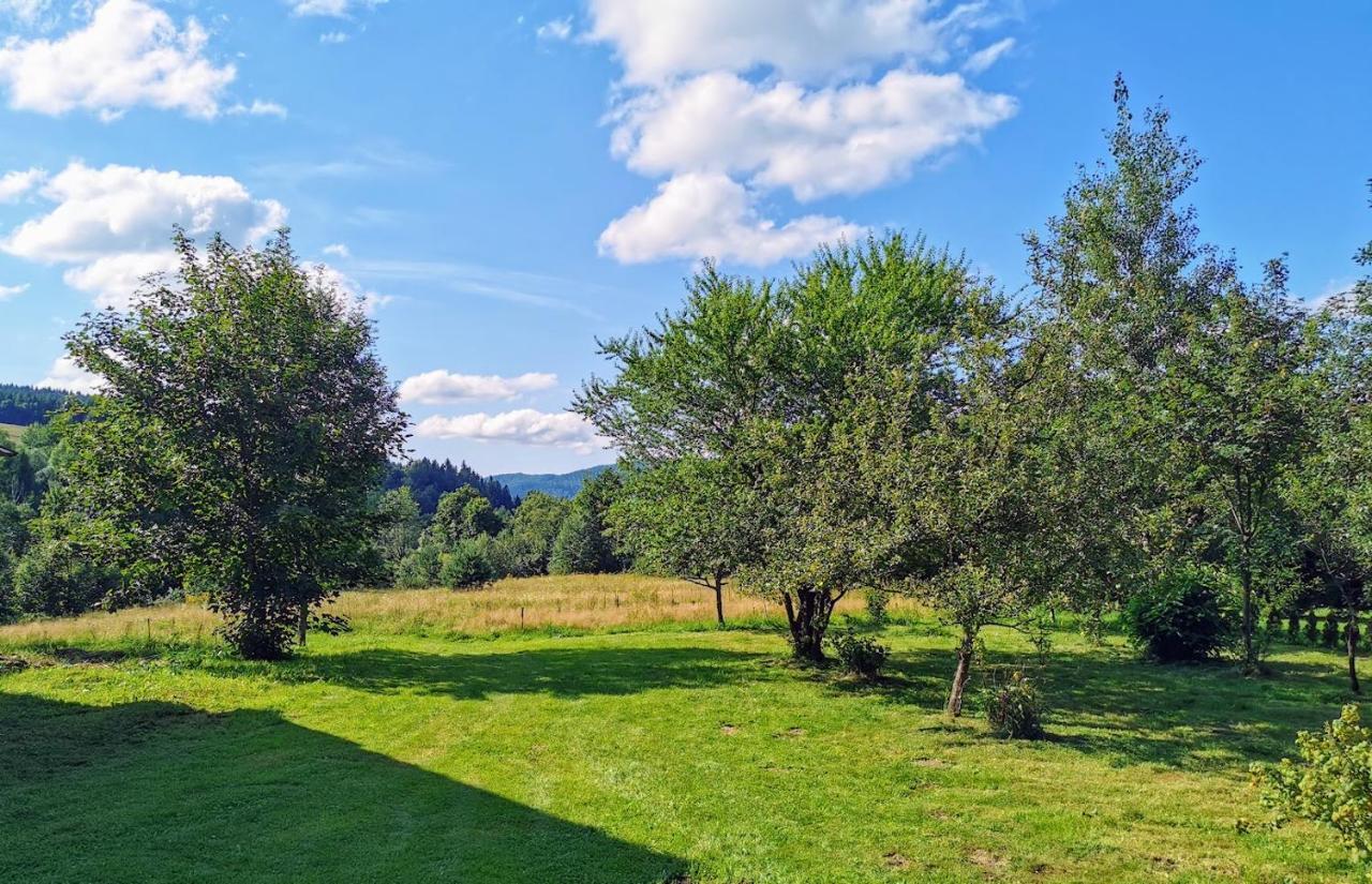 Holiday home Wies Odnowa Labowa